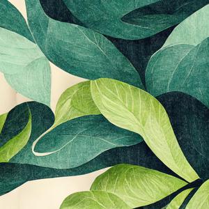 三角裤阴部鼓起图片大全
